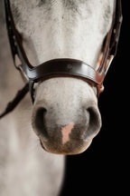 Remont Bridle (Drop Noseband) - Matte Brown | No. 109
