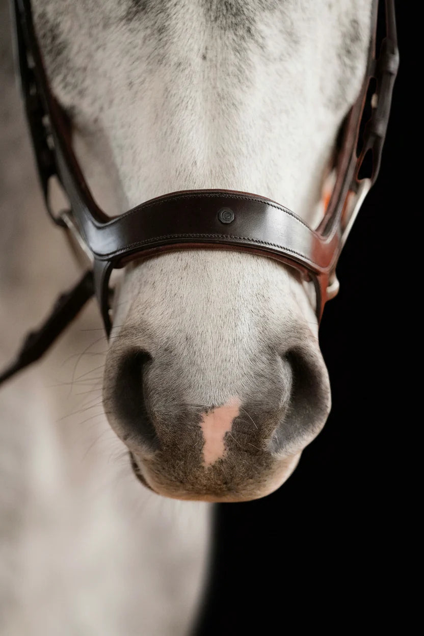 Remont Bridle (Drop Noseband) - Matte Brown | No. 109