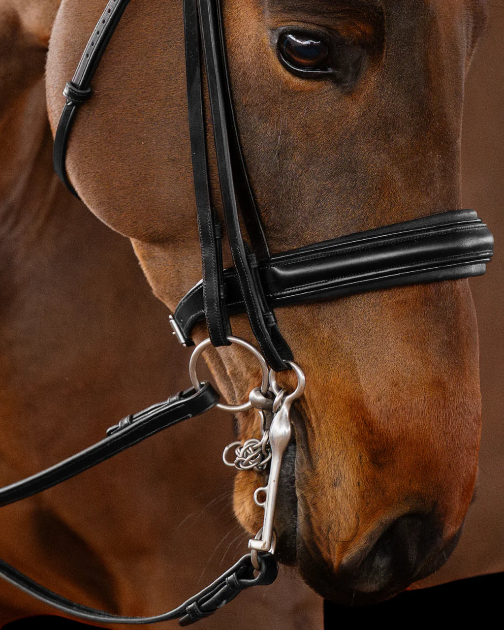 Double Bridle Flat – Matte Black | No. 151