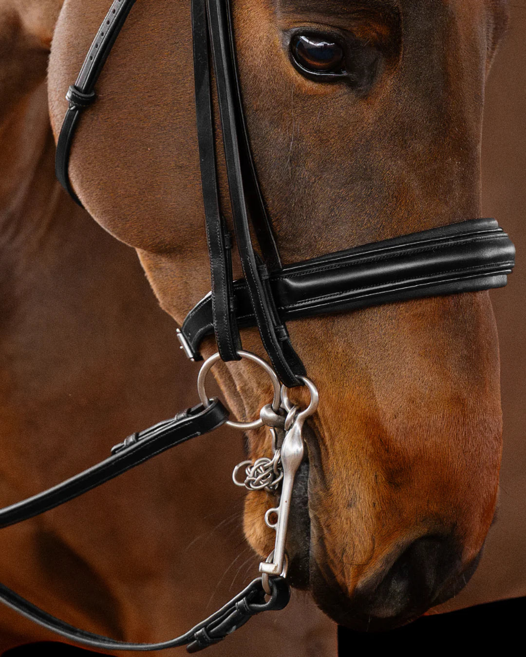 Double Bridle Flat – Matte Black | No. 151