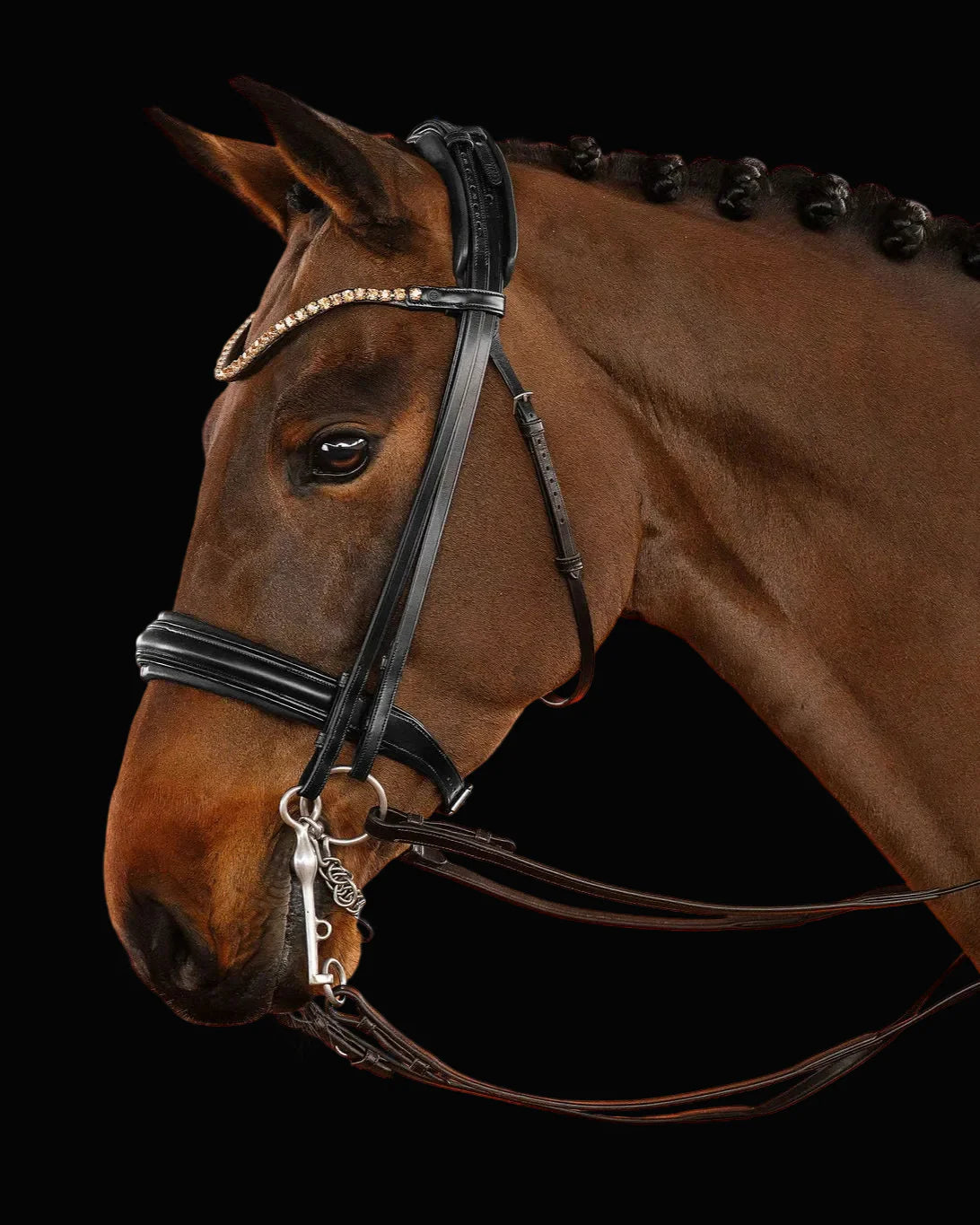 Double Bridle Flat – Matte Black | No. 151