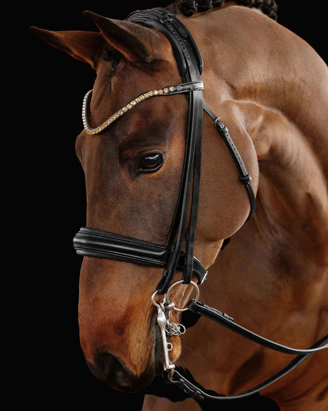 Double Bridle Flat – Matte Black | No. 151