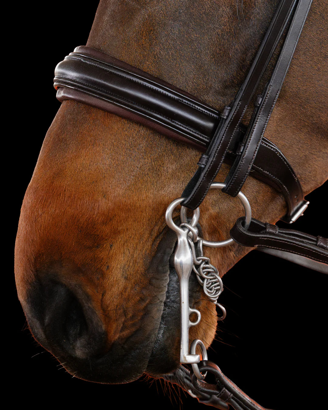 Double Bridle Flat - Matte Brown | No. 151