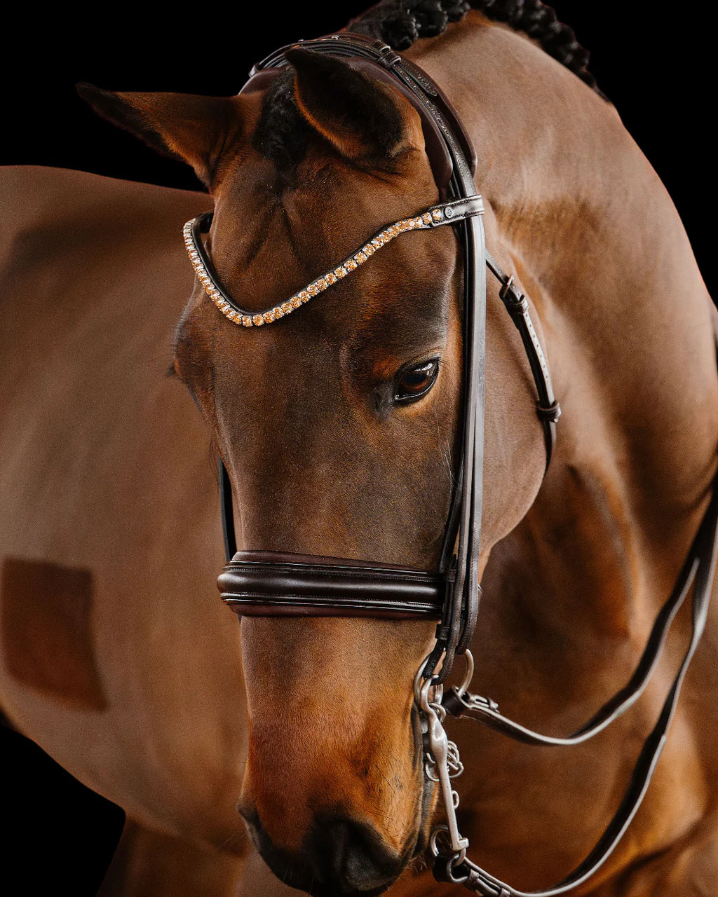 Double Bridle Flat - Matte Brown | No. 151