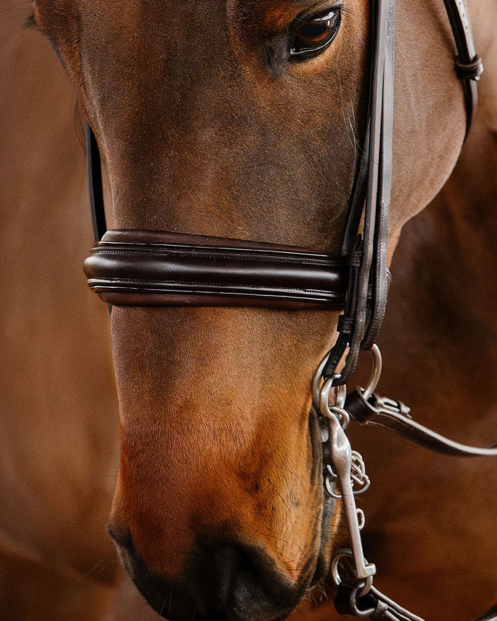 Double Bridle Flat - Matte Brown | No. 151