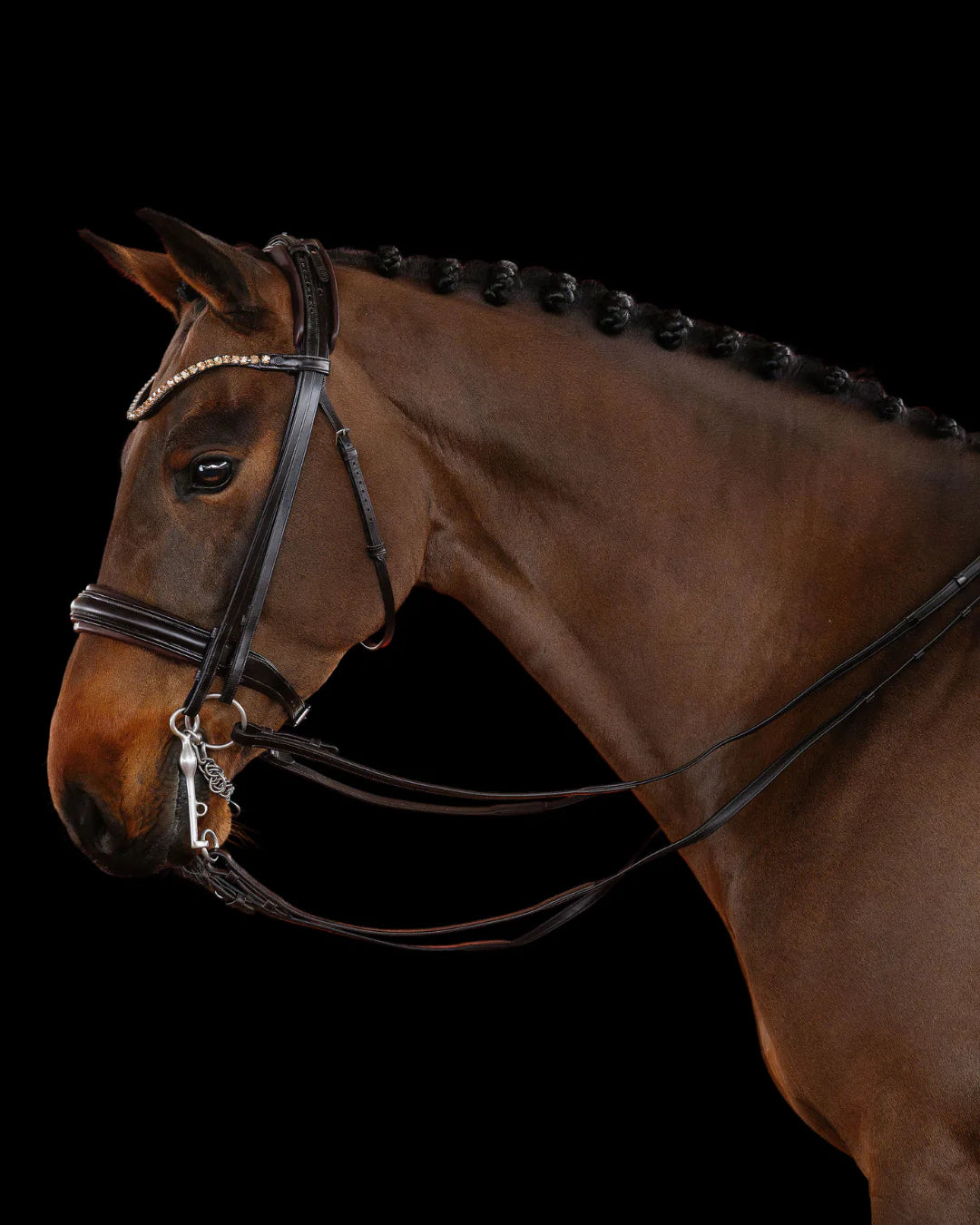 Double Bridle Flat - Matte Brown | No. 151