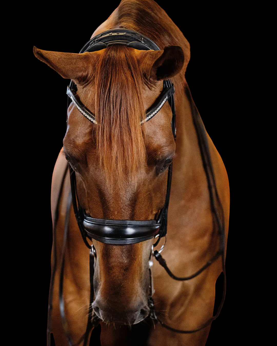 Double Bridle Rolled-Stitched - Matte Black | No. 152