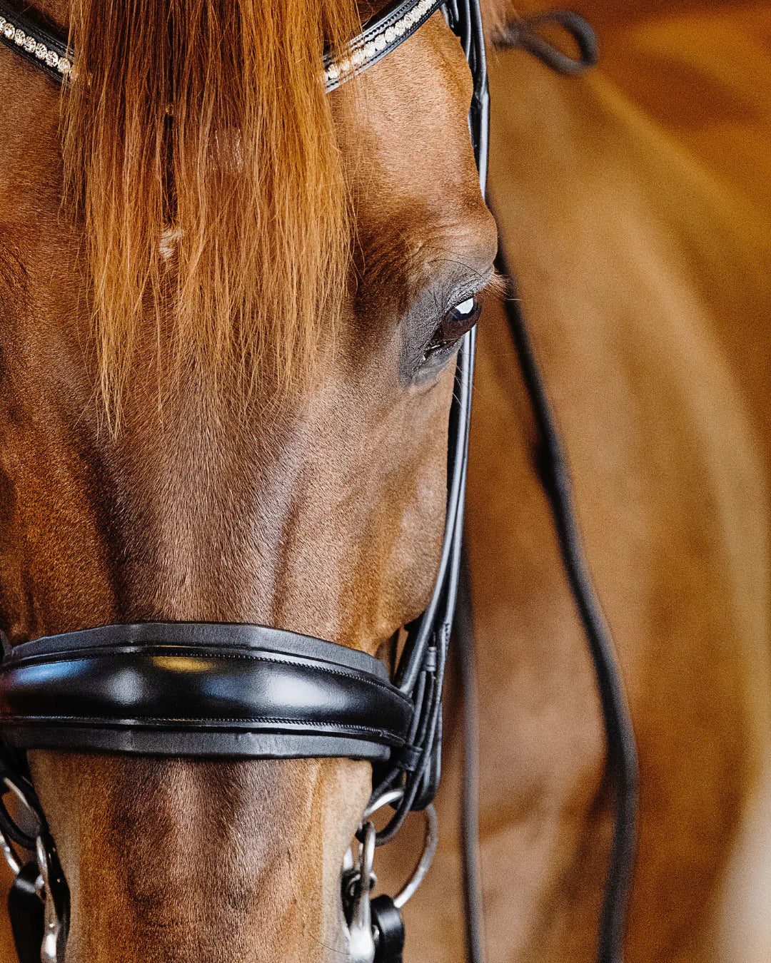 Double Bridle Rolled-Stitched - Matte Black | No. 152