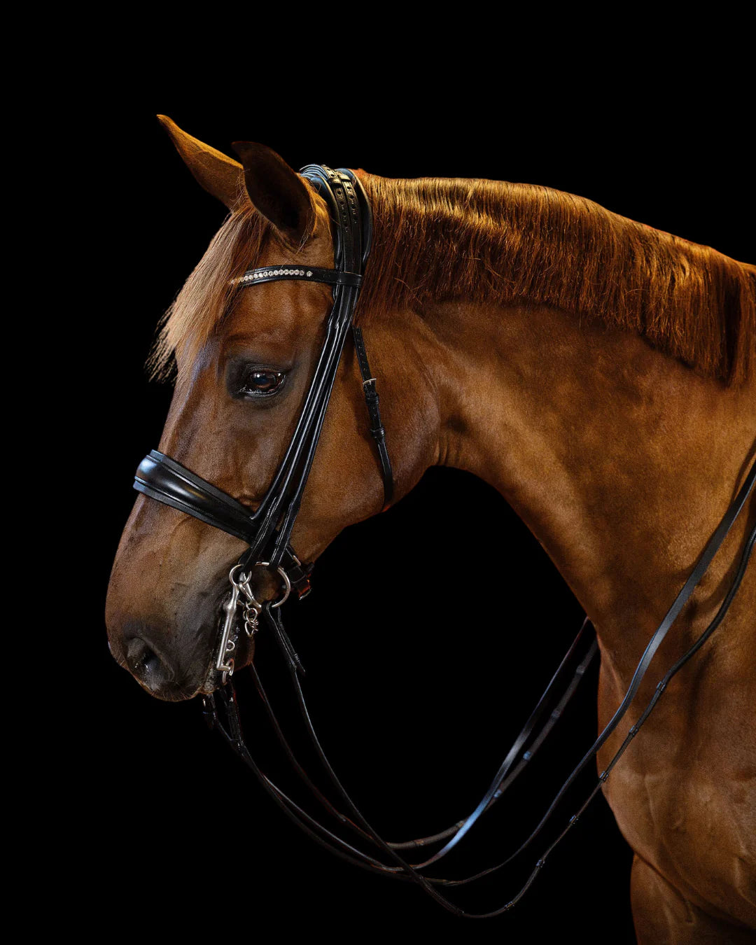 Double Bridle Rolled-Stitched - Matte Black | No. 152