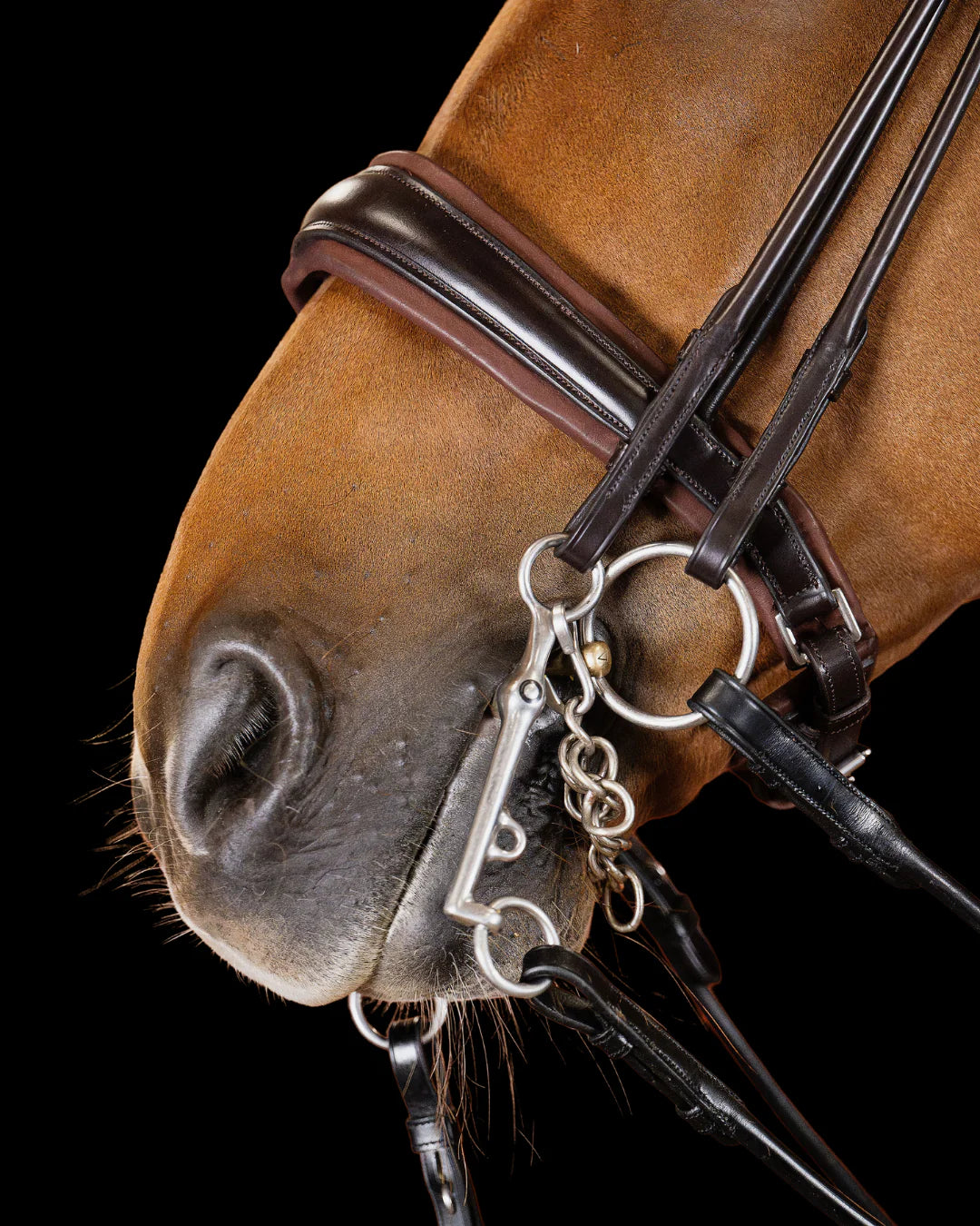Double Bridle Rolled-Stitched  – Matte Brown | No. 152