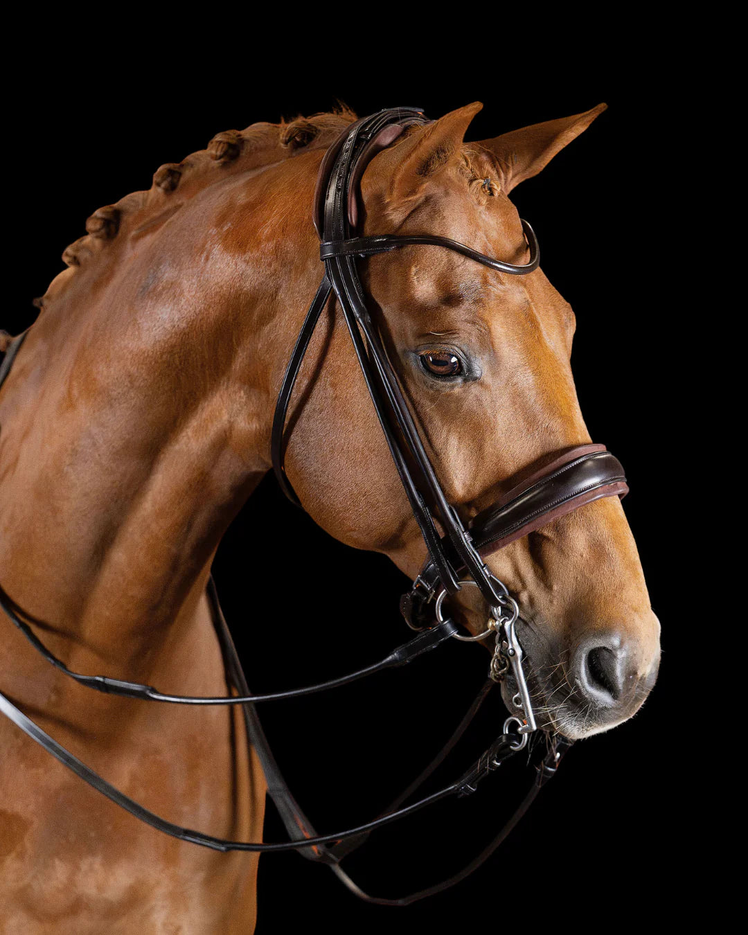 Double Bridle Rolled-Stitched  – Matte Brown | No. 152
