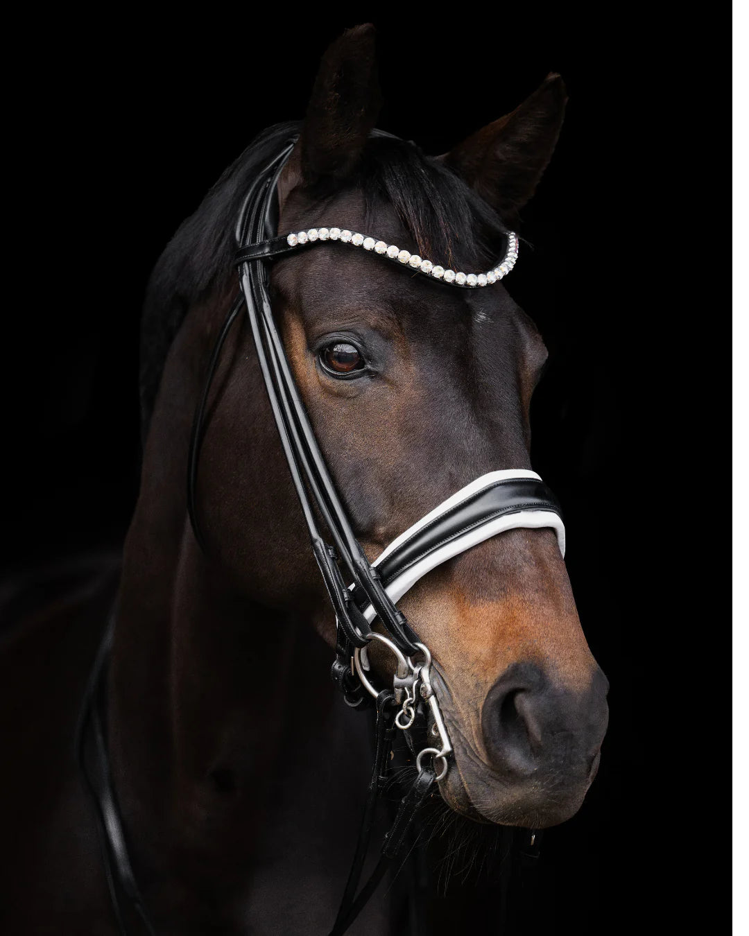 Double Bridle Rolled-Stitched - Matte Black - White Padding| No. 153