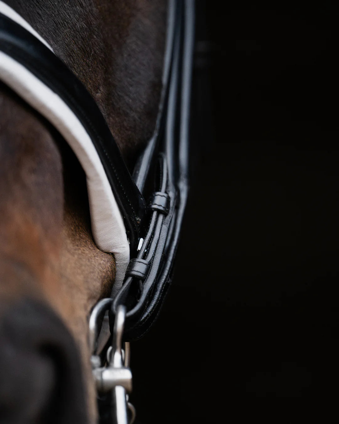 Double Bridle Rolled-Stitched - Matte Black - White Padding| No. 153