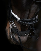Double Bridle Rolled-Stitched - Matte Black - White Padding| No. 153