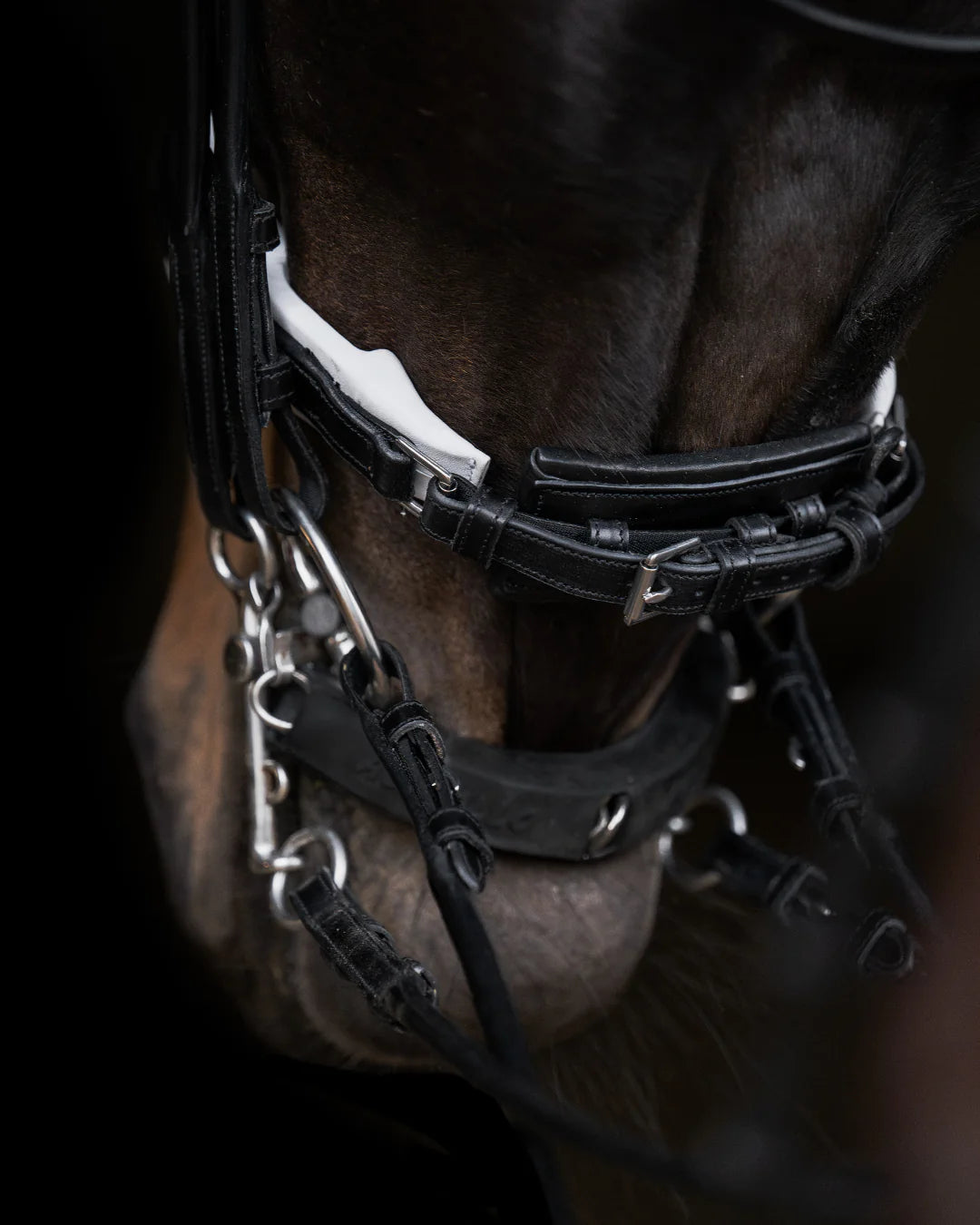 Double Bridle Rolled-Stitched - Matte Black - White Padding| No. 153