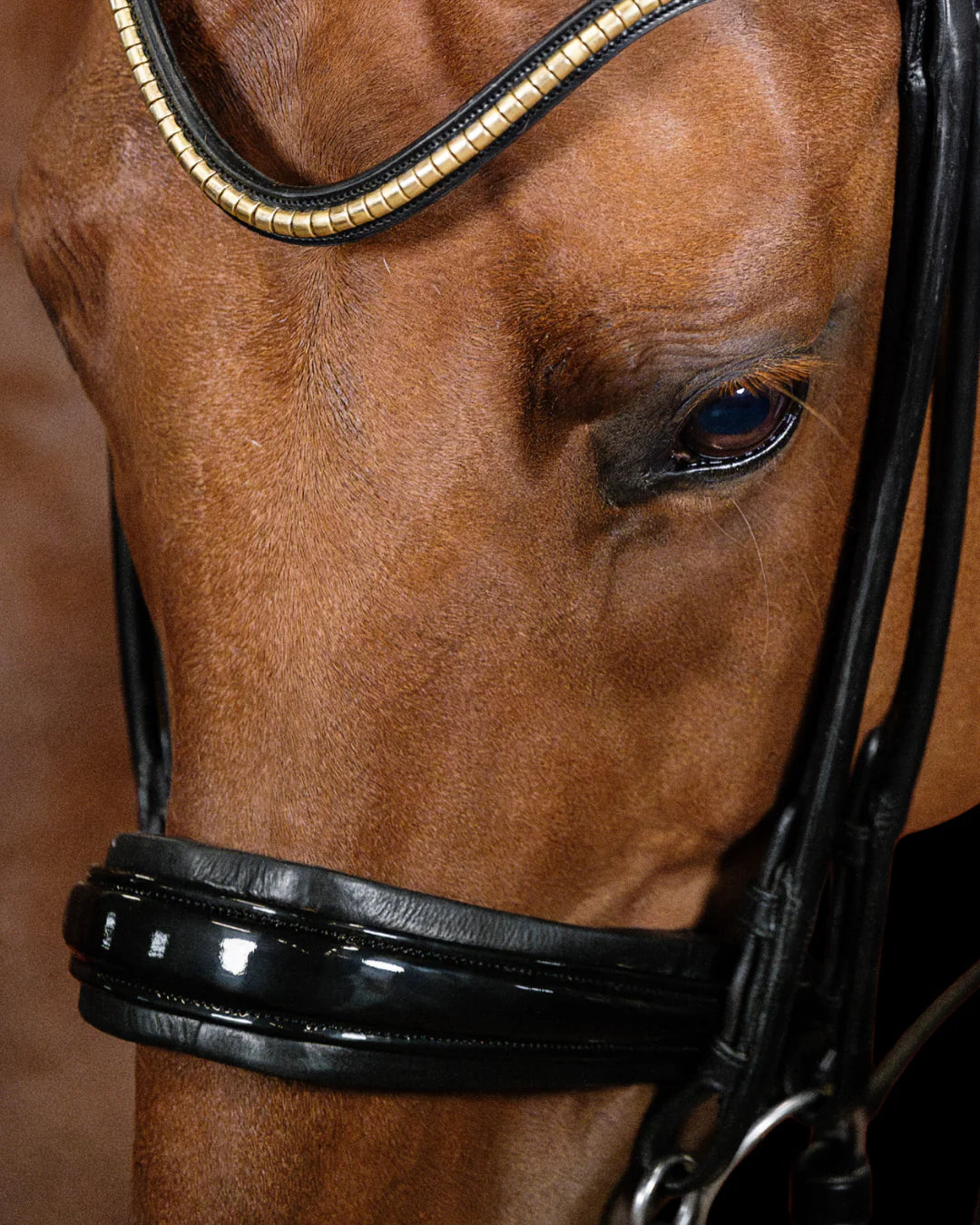 Double Bridle Rolled-Stitched – Patent Black | No. 154
