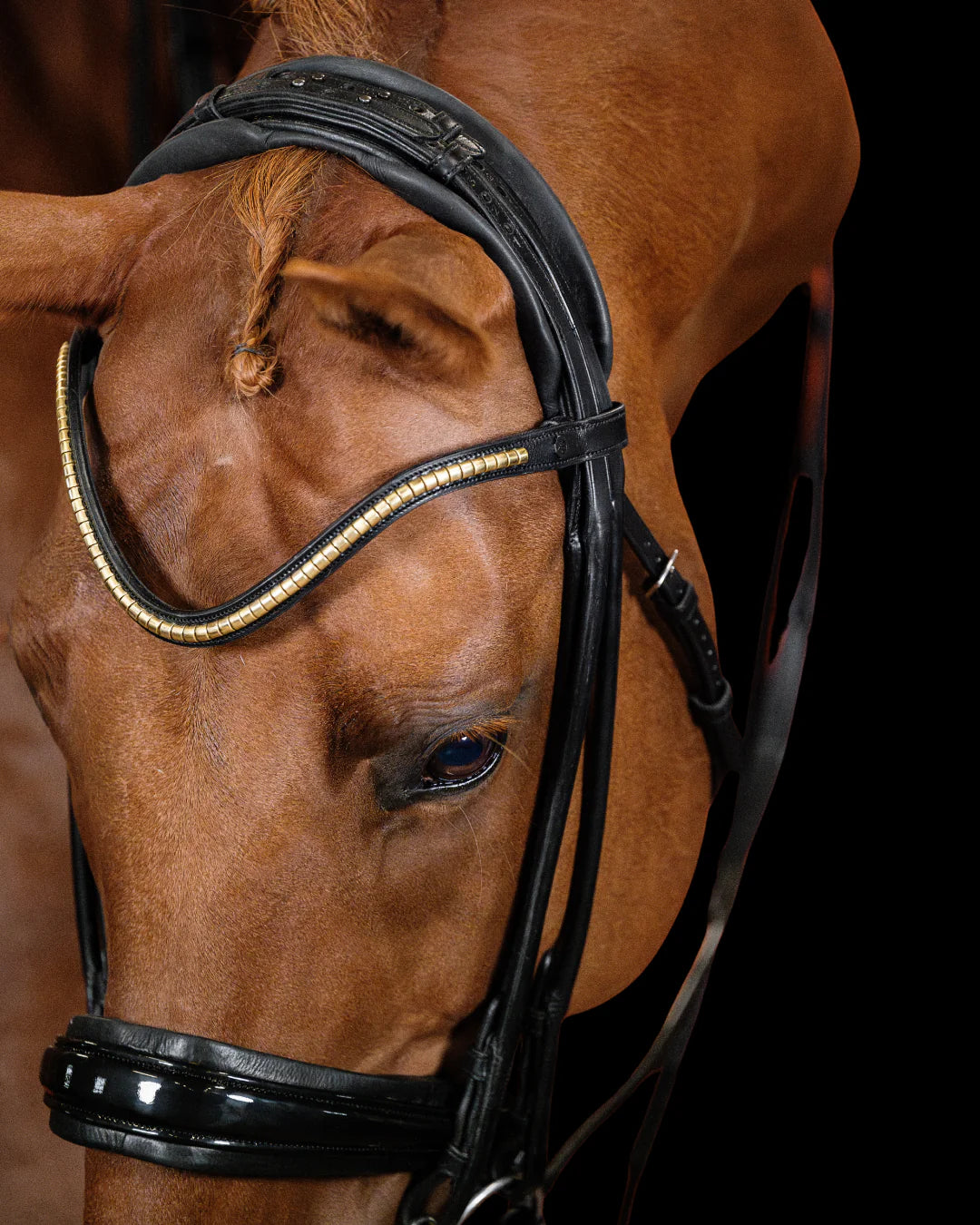 Double Bridle Rolled-Stitched – Patent Black | No. 154