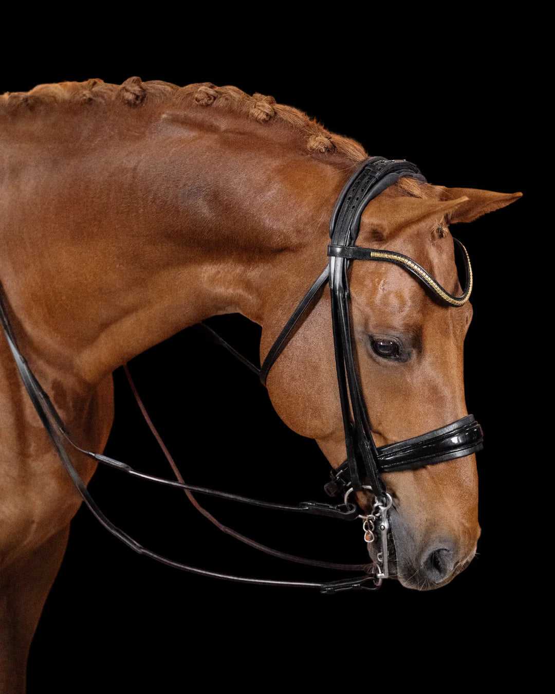 Double Bridle Rolled-Stitched – Patent Black | No. 154