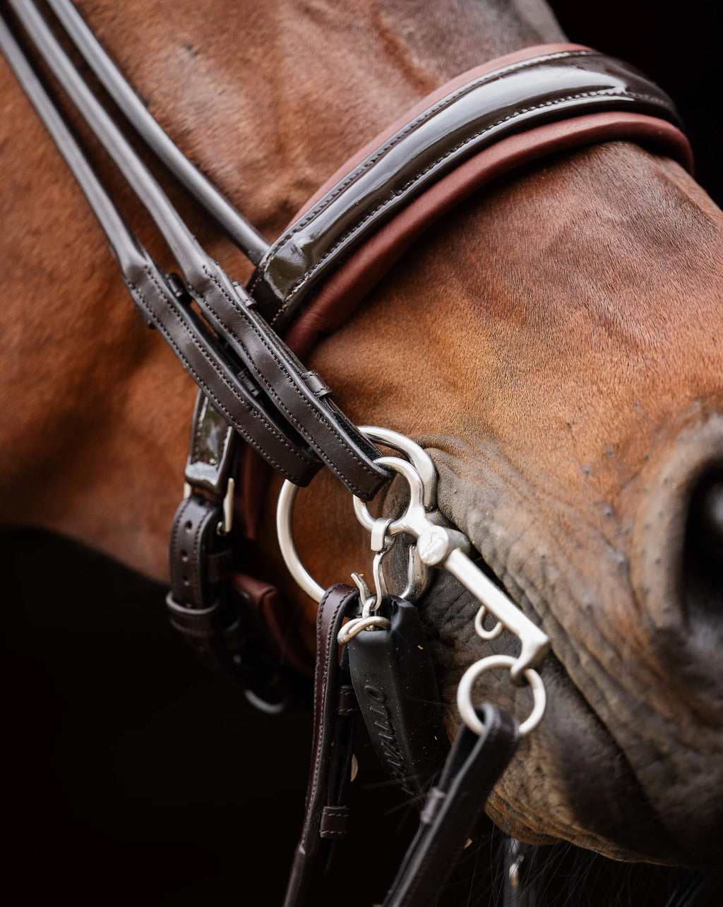 Double Bridle Rolled-Stitched – Patent Brown | No. 154