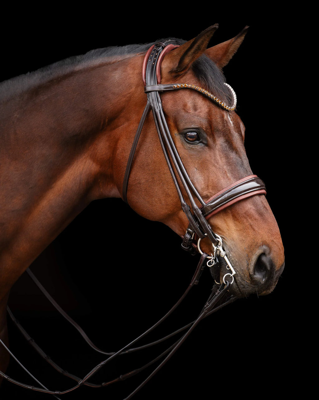 Double Bridle Rolled-Stitched – Patent Brown | No. 154