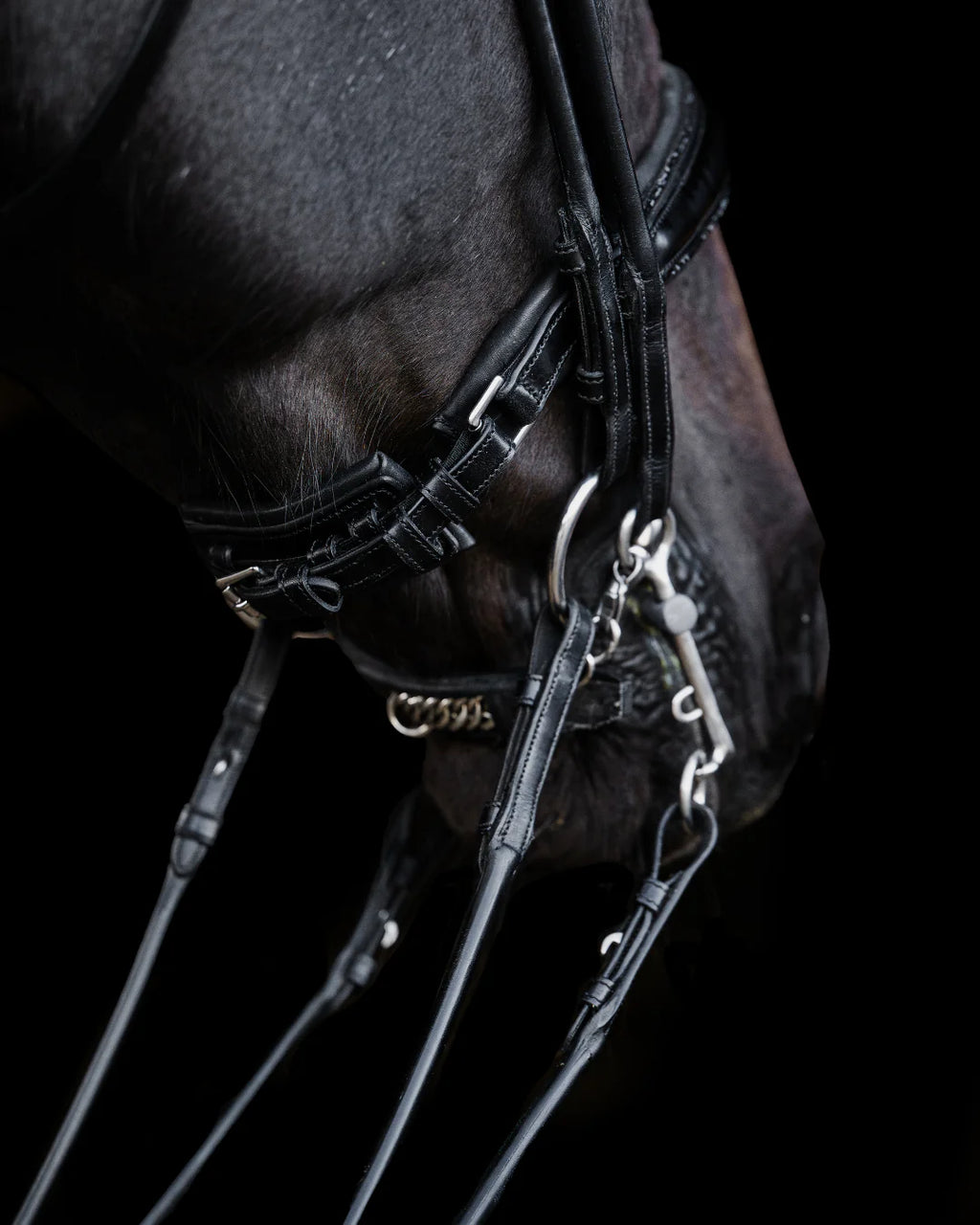 Double Bridle Rolled-Stitched – Matte Black Crystal | No. 155
