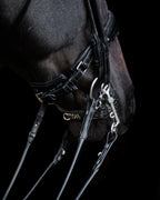 Double Bridle Rolled-Stitched – Matte Black Crystal | No. 155
