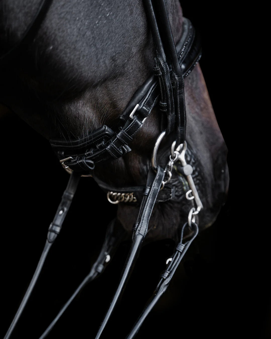 Double Bridle Rolled-Stitched – Matte Black Crystal | No. 155