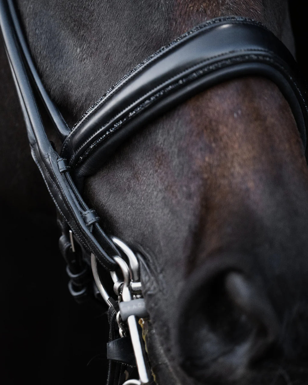 Double Bridle Rolled-Stitched – Matte Black Crystal | No. 155