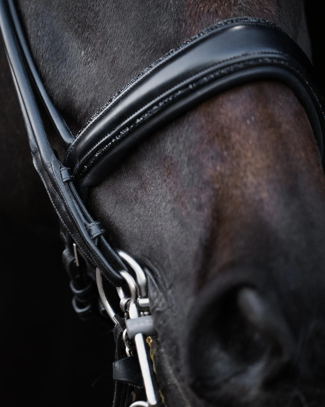 Double Bridle Rolled-Stitched – Matte Black Crystal | No. 155