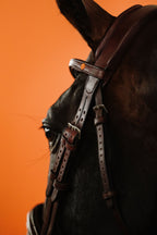 English Bridle (Brown) | No. 04