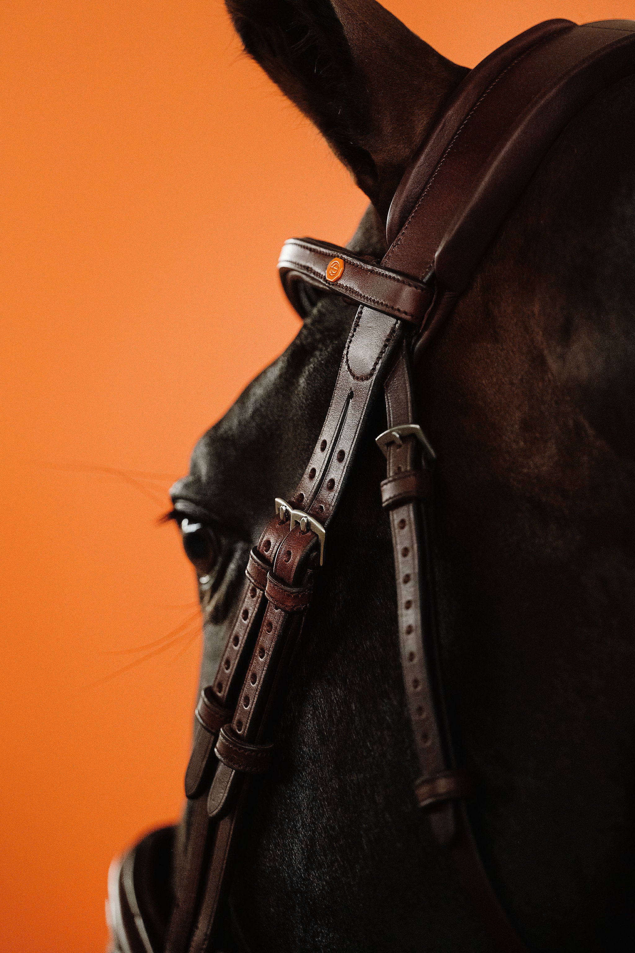 English Bridle (Brown) | No. 04