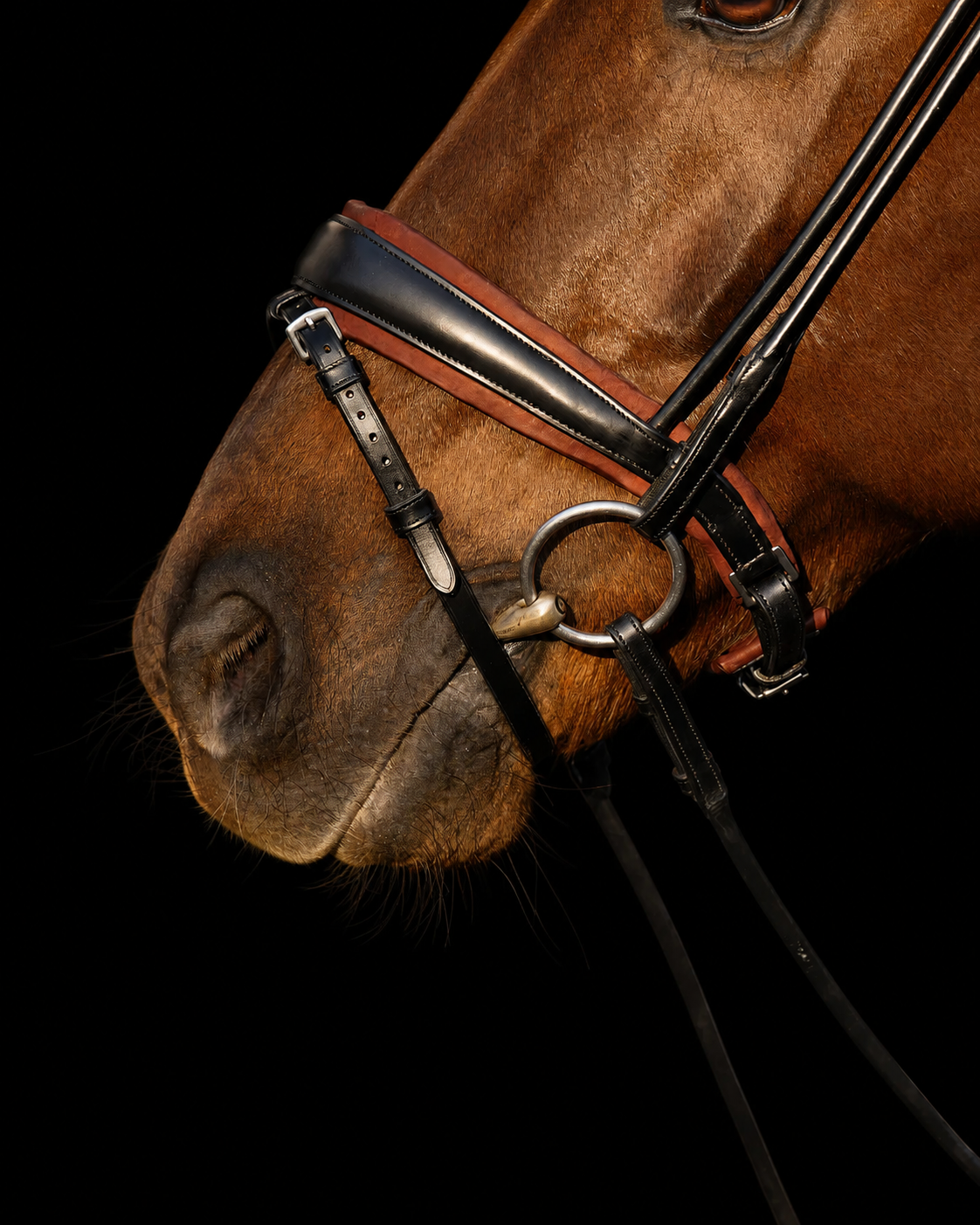 Bridle Rolled-Stitched - Matte Black - Brown Padding | No. 108