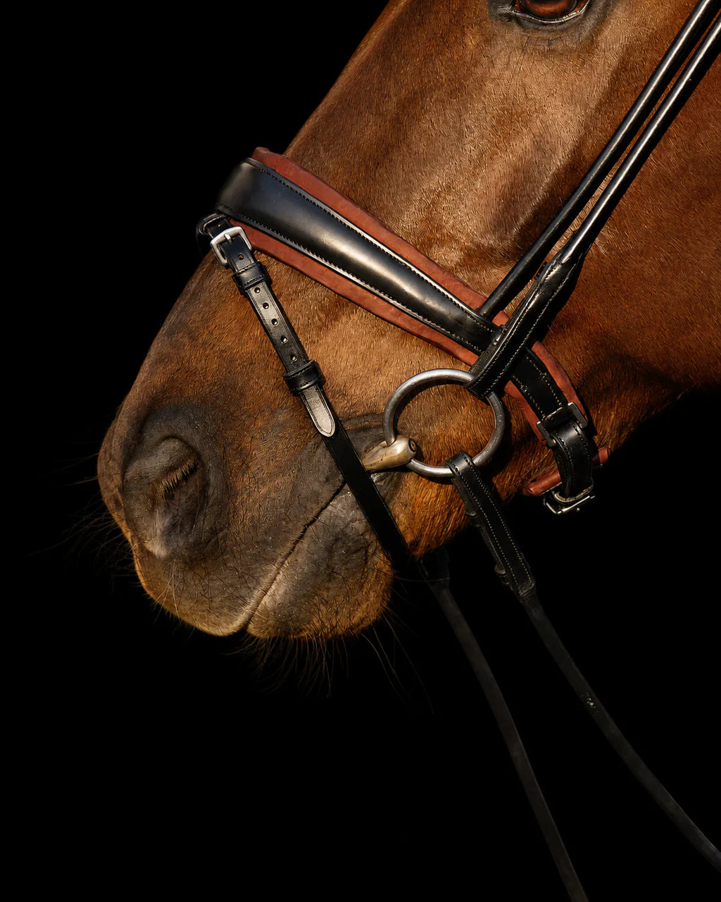 Bridle Rolled-Stitched - Matte Black - Brown Padding | No. 108