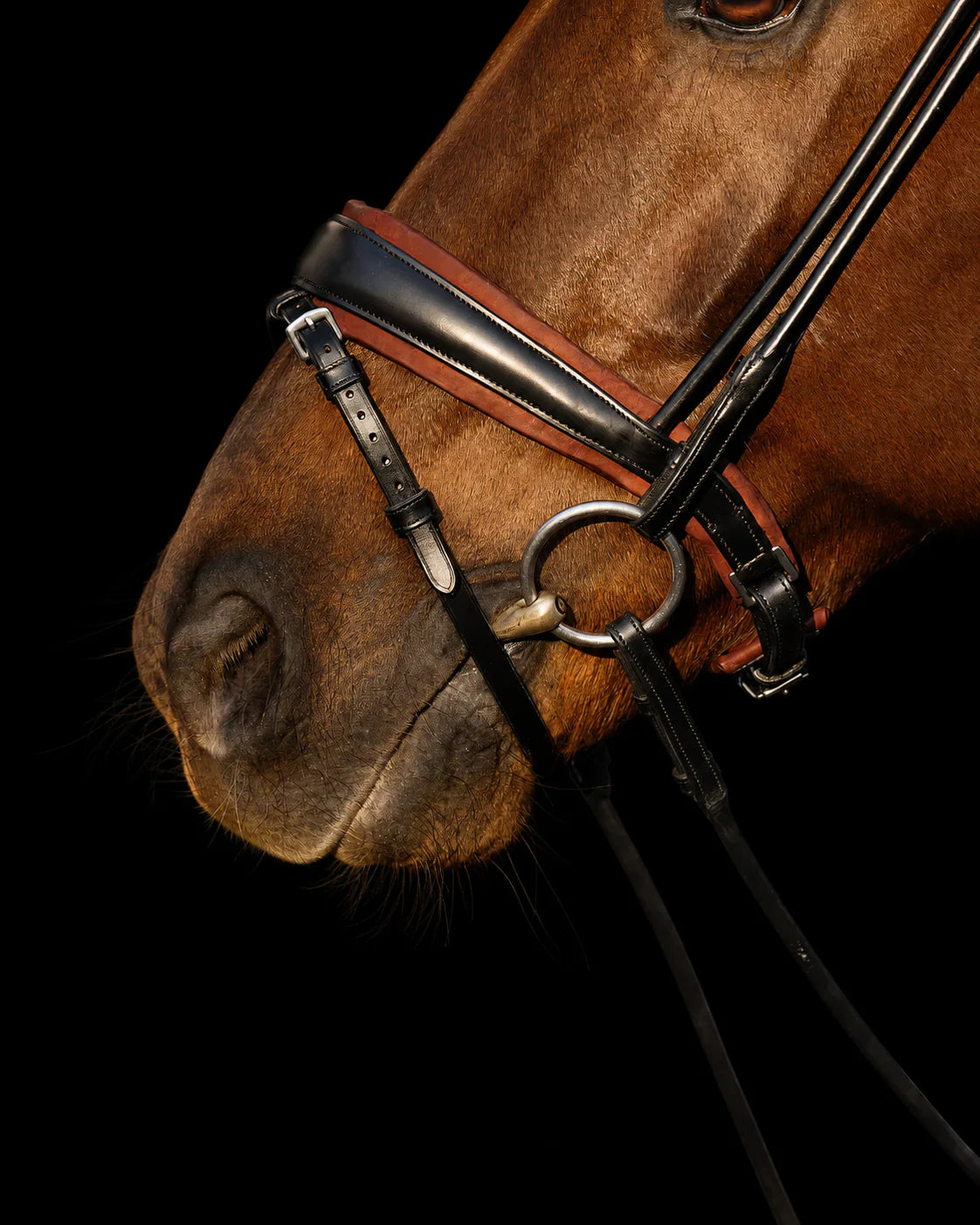 Bridle Rolled-Stitched - Matte Black - Brown Padding | No. 108