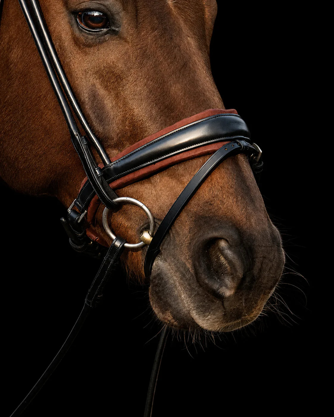 Bridle Rolled-Stitched - Matte Black - Brown Padding | No. 108