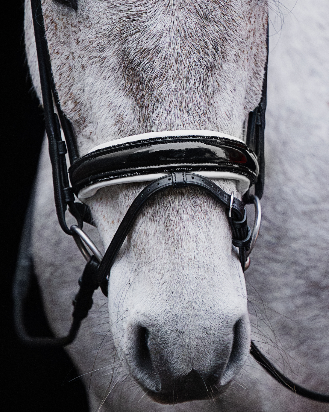 Pony Dressage Bridle No. 23 | Black