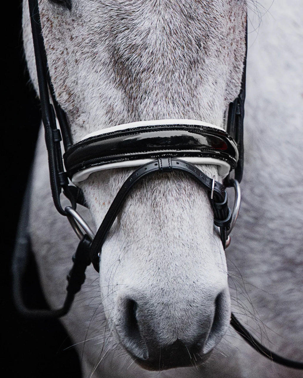 Pony Dressage Bridle No. 23 | Black