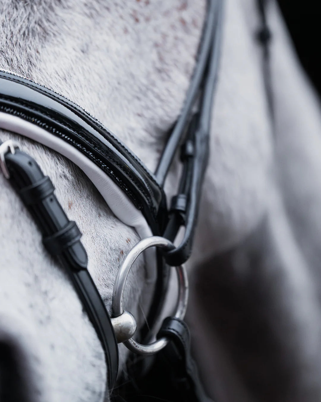 Pony Dressage Bridle No. 23 | Black