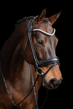 Bridle Rolled-Stitched – Matte Black Crystal | No. 105