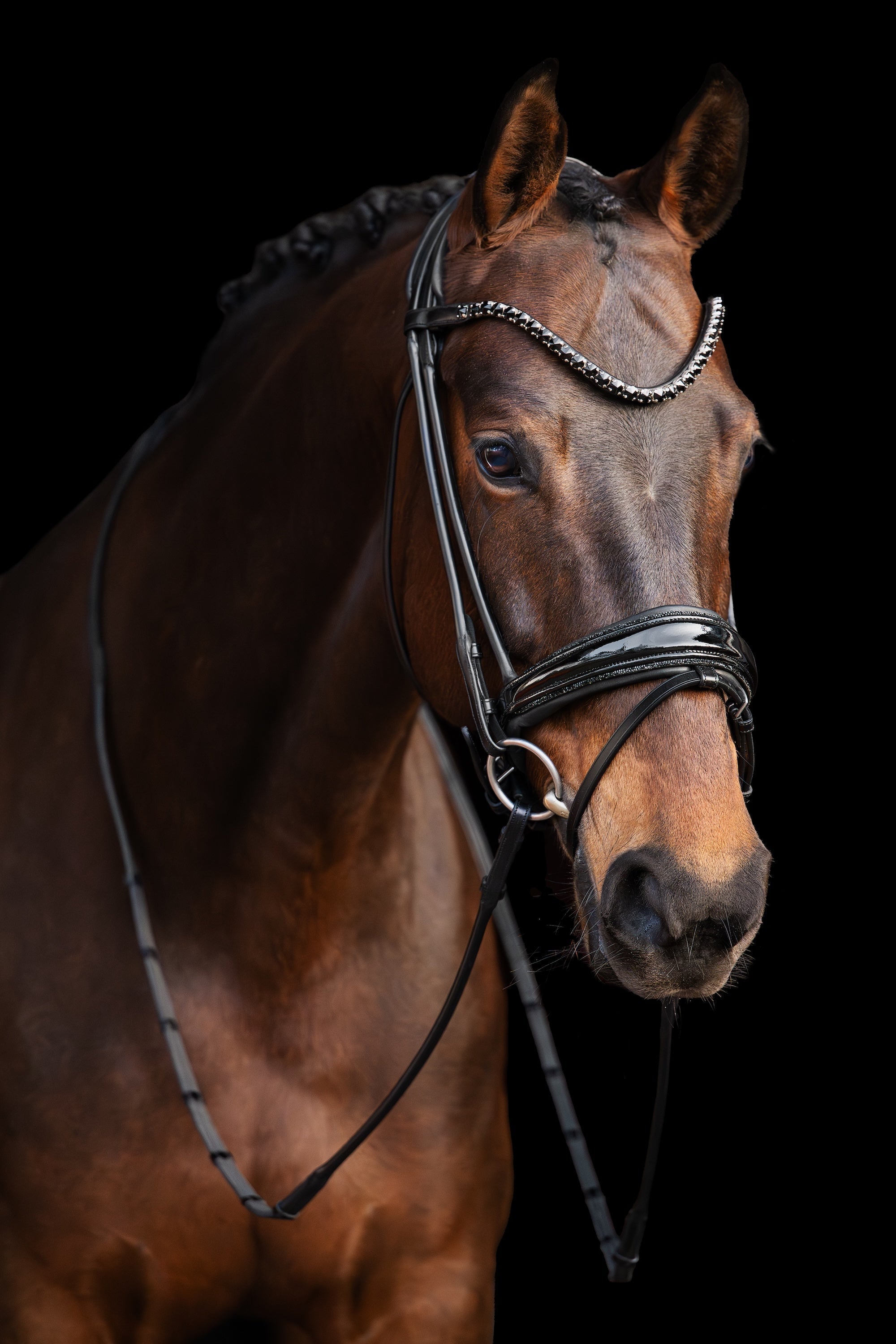 Bridle Rolled-Stitched – Patent Black Crystal | No. 100