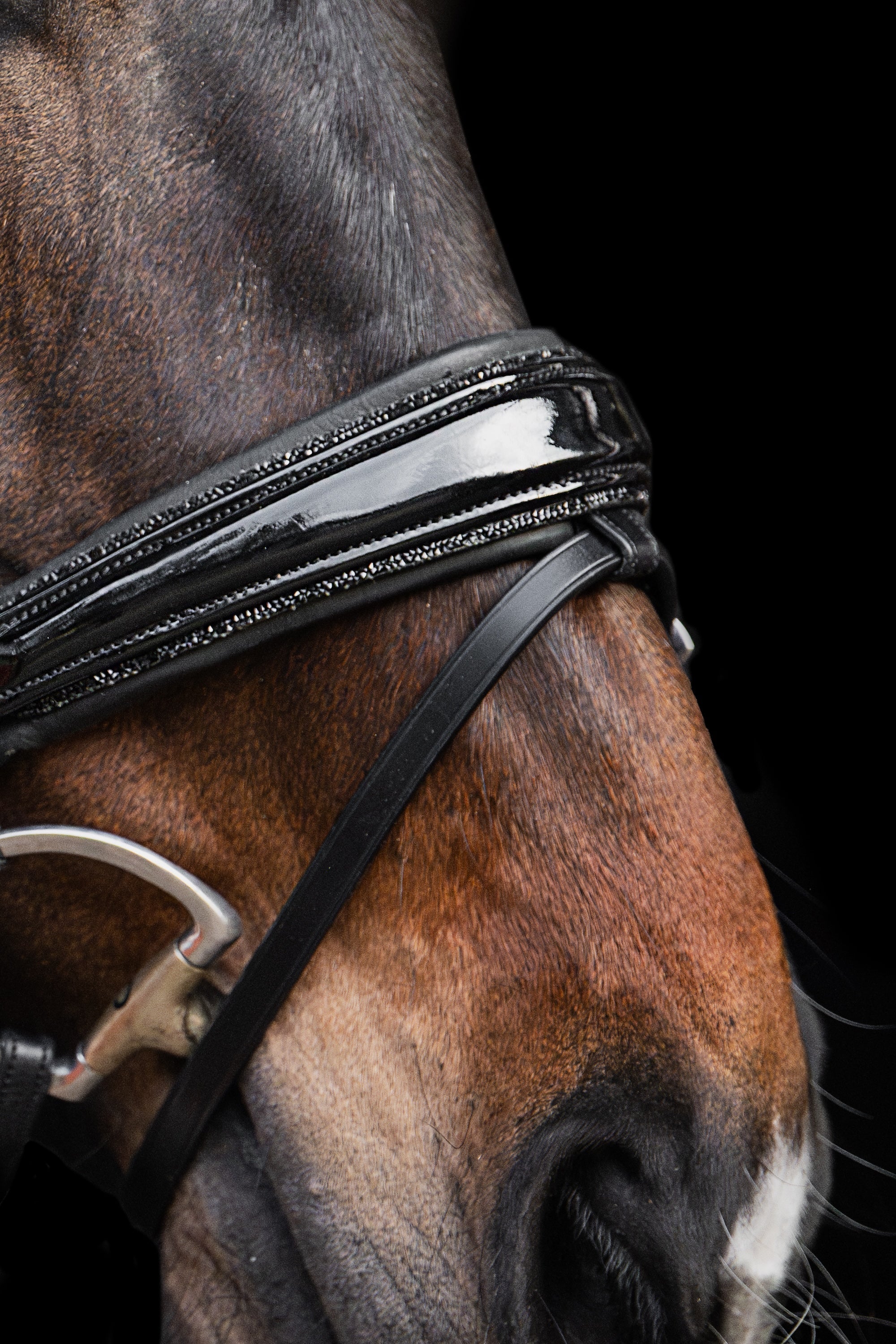 Patent Crystal Bridle – Black | No. 10