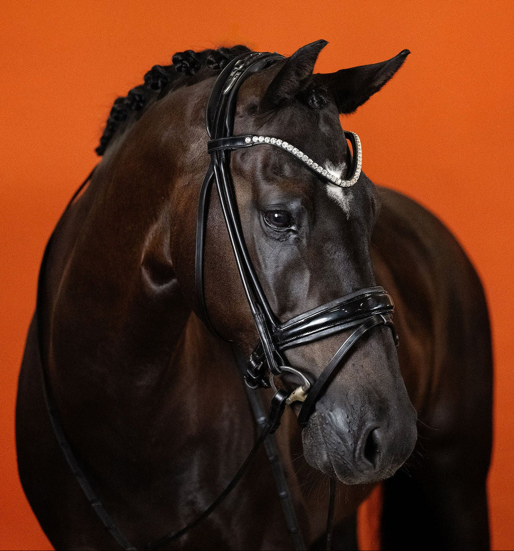 Patent Bridle – Black | No. 10