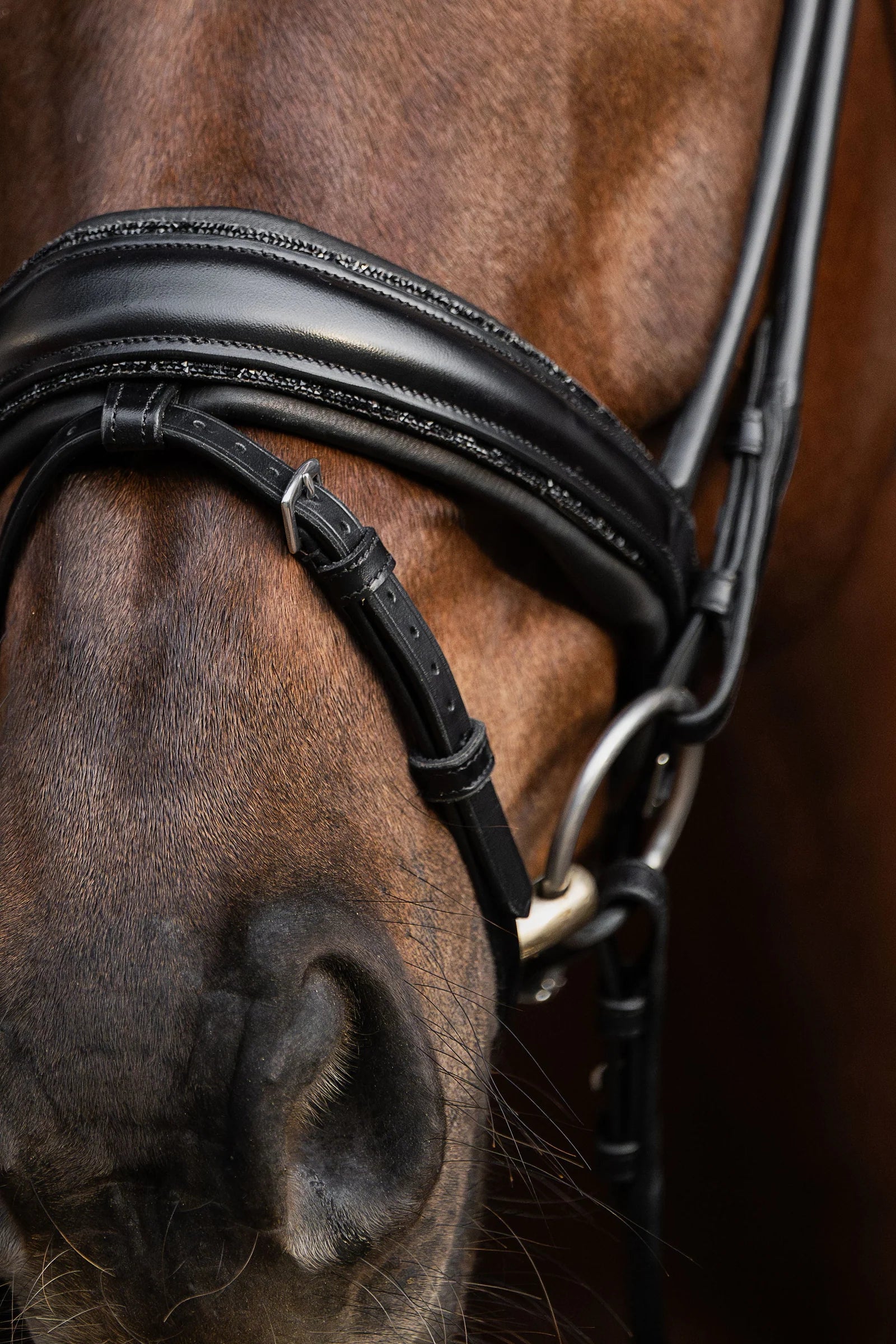 Bridle Rolled-Stitched – Matte Black Crystal | No. 105