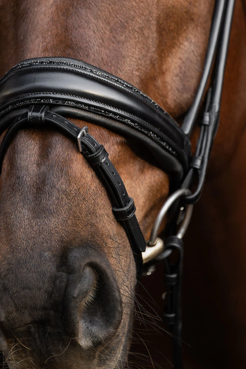 Bridle Rolled-Stitched – Matte Black Crystal | No. 105