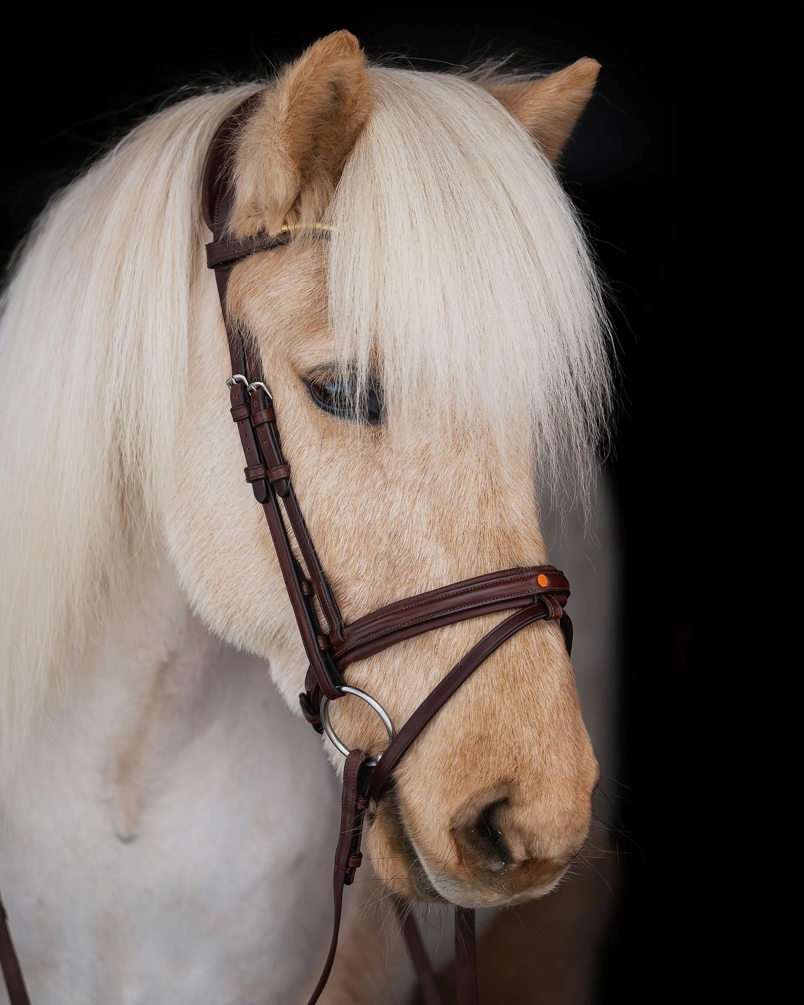Native Bridle No. 21 | Brown