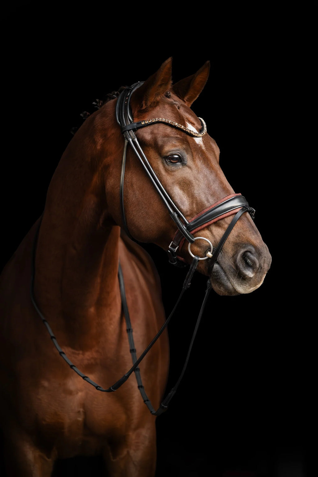 Bridle Rolled-Stitched - Matte Black - Brown Padding | No. 108