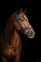Bridle Rolled-Stitched - Matte Black - Brown Padding | No. 108