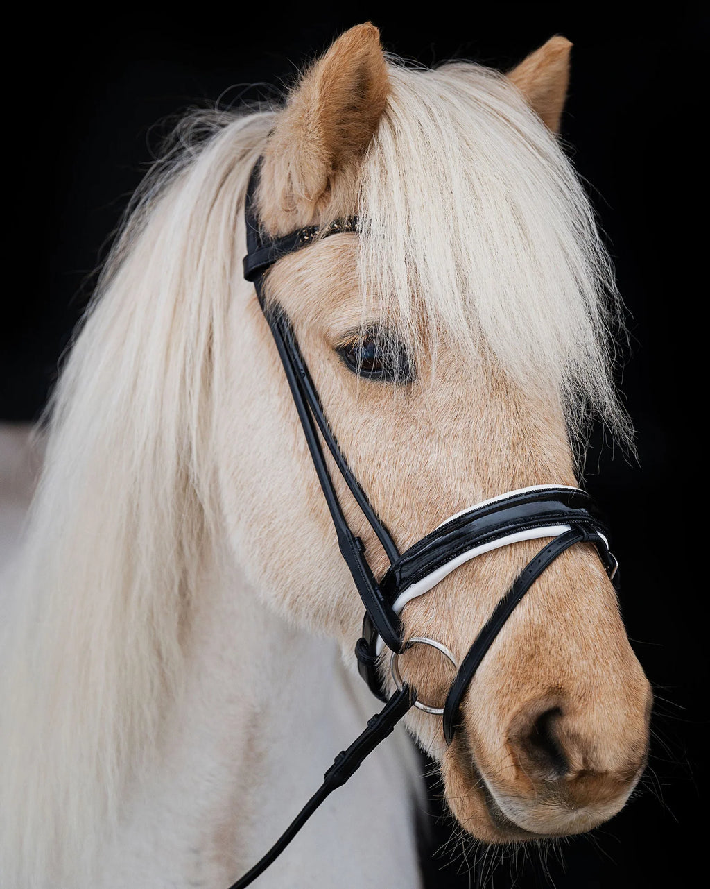 Native Bridle No. 24 | Black