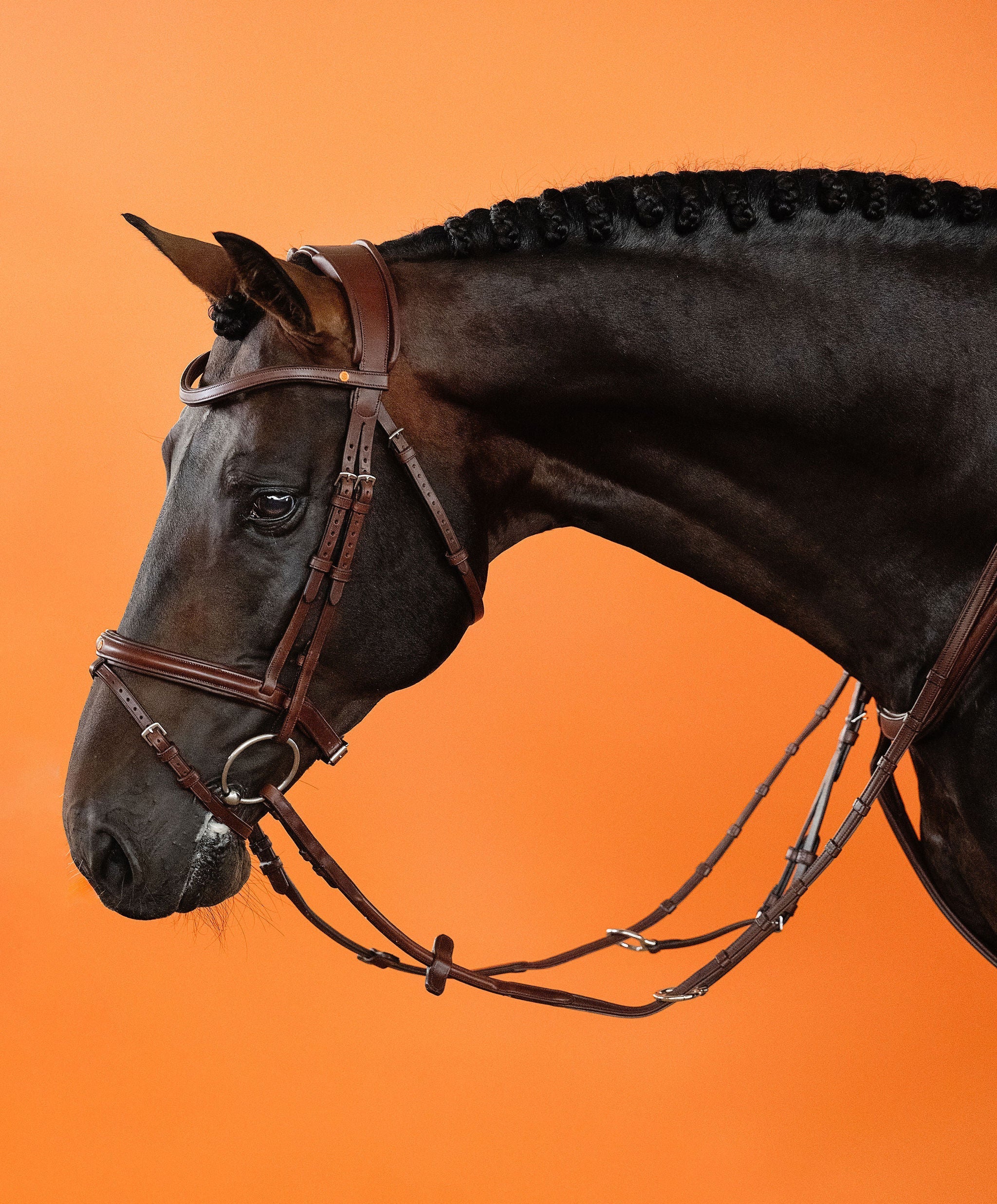 English Bridle (Brown) | No. 04