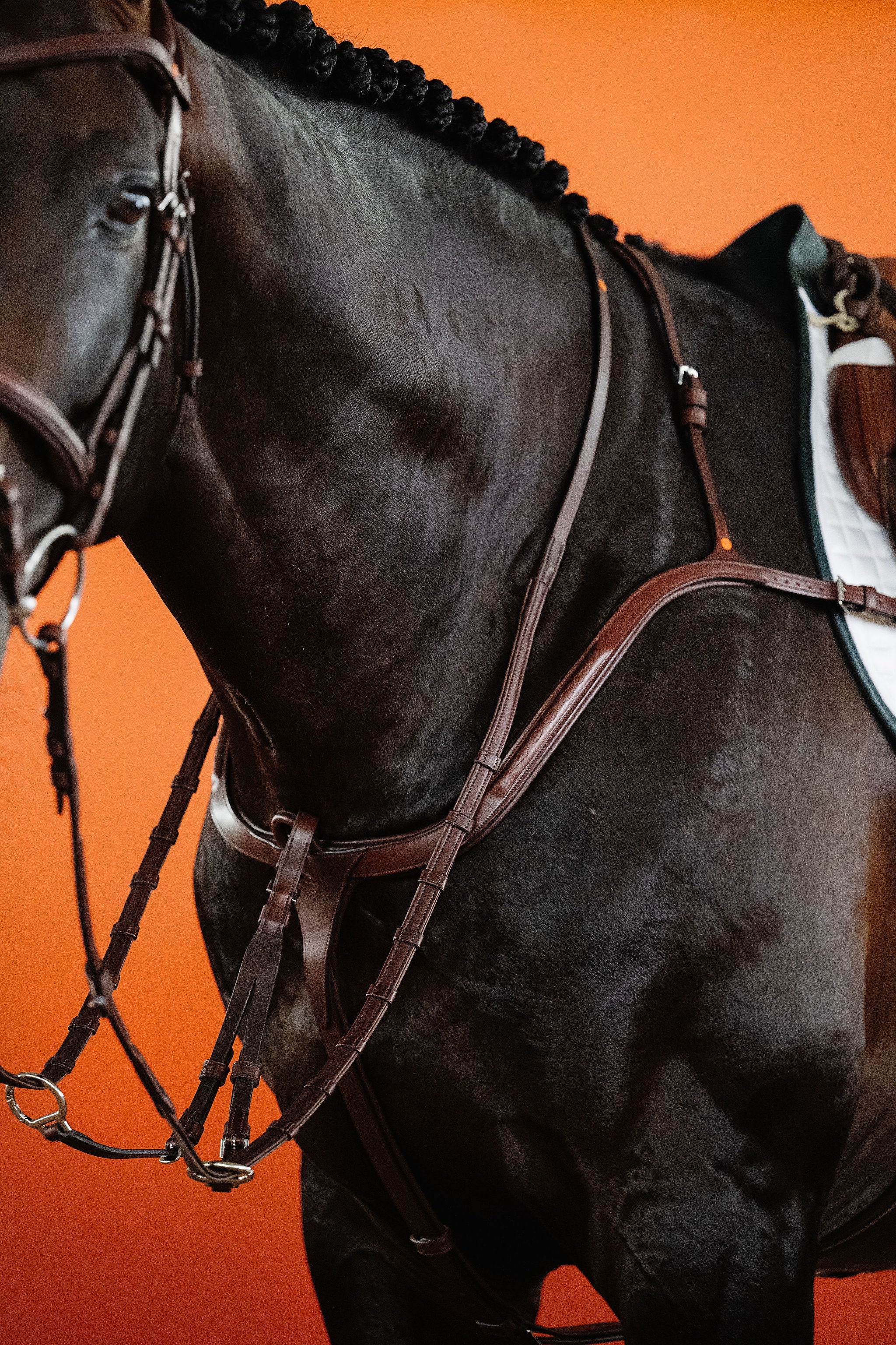 3-Point Breastplate (Brown) | No. 70